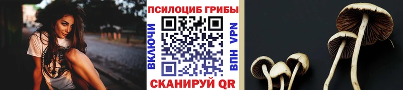 Галлюциногенные грибы Cubensis  Приволжск 